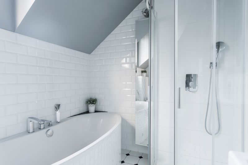 Elegant Shower Area